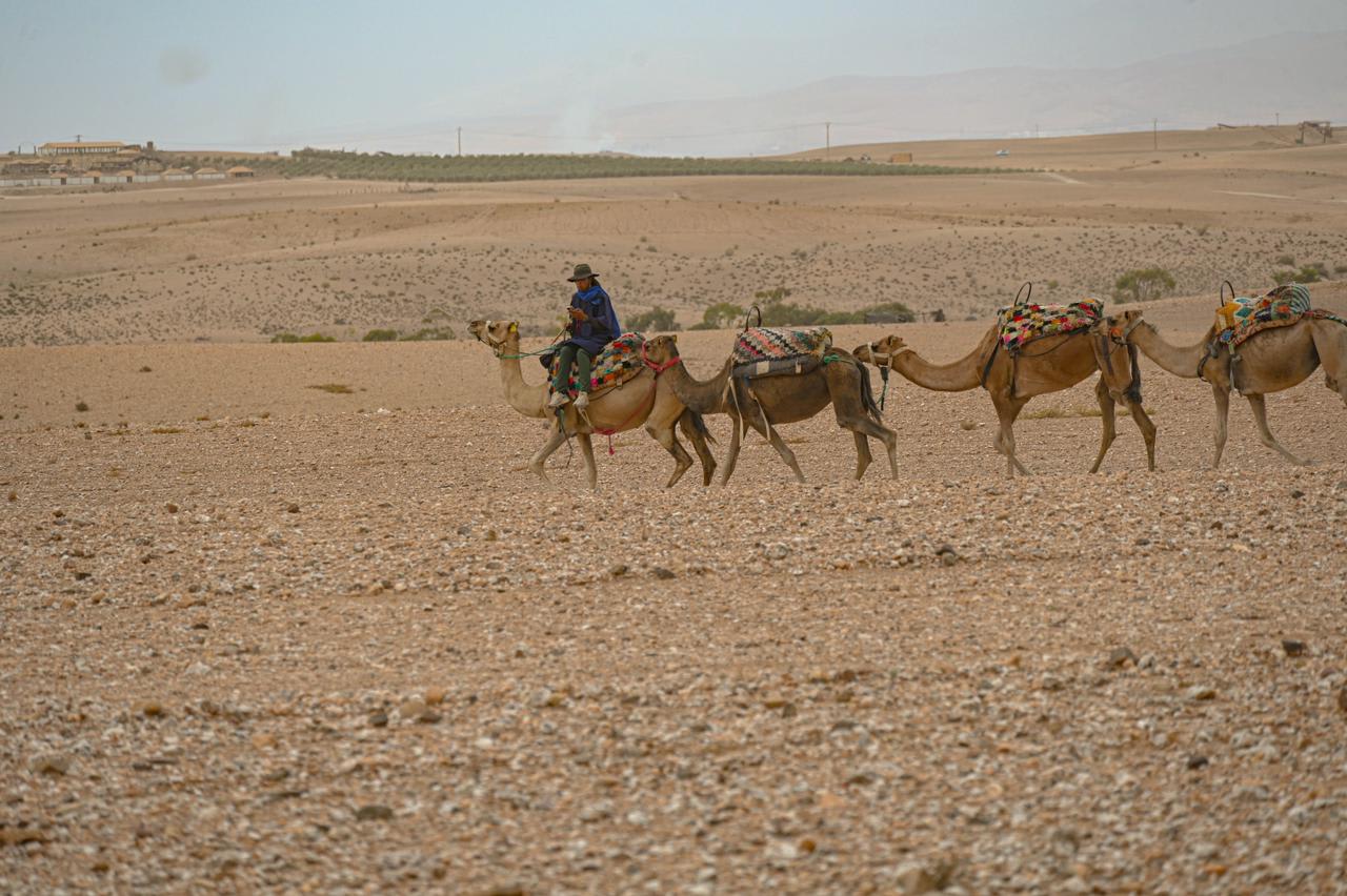 Itinéraires Quad